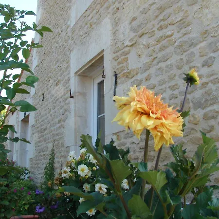 Le Marais Picotin * Saint-Pierre-le-Vieux (Vendee)