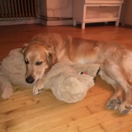 Le Marais Picotin 3* Saint-Pierre-le-Vieux (Vendee)