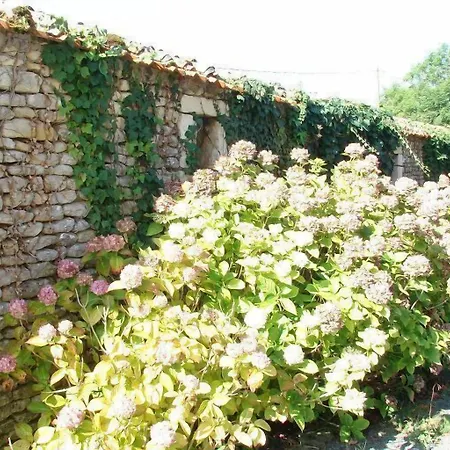 Le Marais Picotin Bed & Breakfast Saint-Pierre-le-Vieux (Vendee)