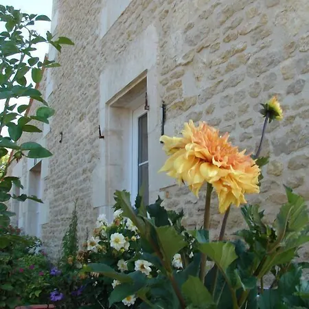 Le Marais Picotin Saint-Pierre-le-Vieux (Vendee)
