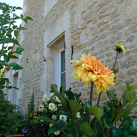 Le Marais Picotin Saint-Pierre-le-Vieux (Vendee)