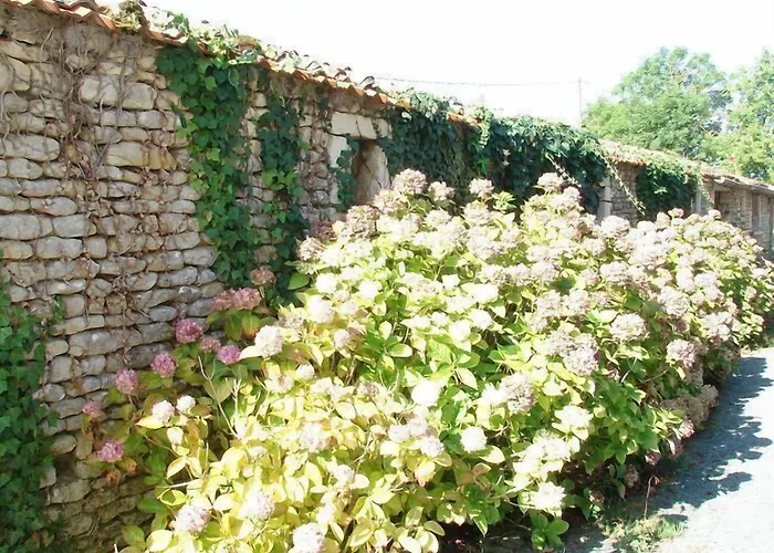 Le Marais Picotin לינה וארוחת בוקר Saint-Pierre-le-Vieux (Vendee)