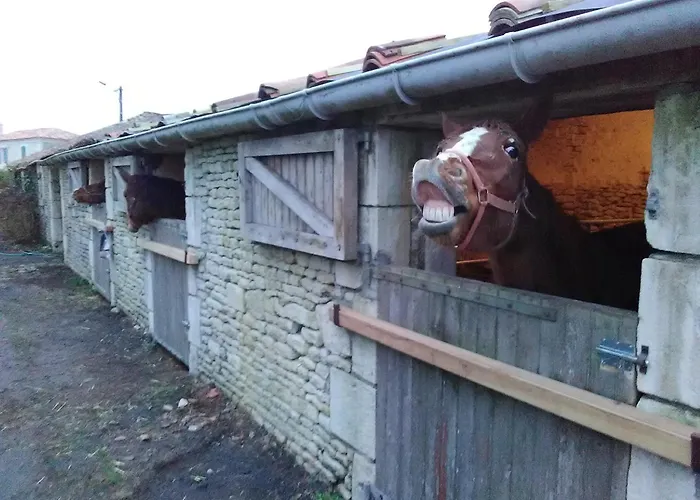 Le Marais Picotin 3* Saint-Pierre-le-Vieux (Vendee)