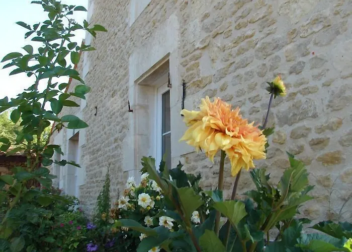 Le Marais Picotin Saint-Pierre-le-Vieux (Vendee)